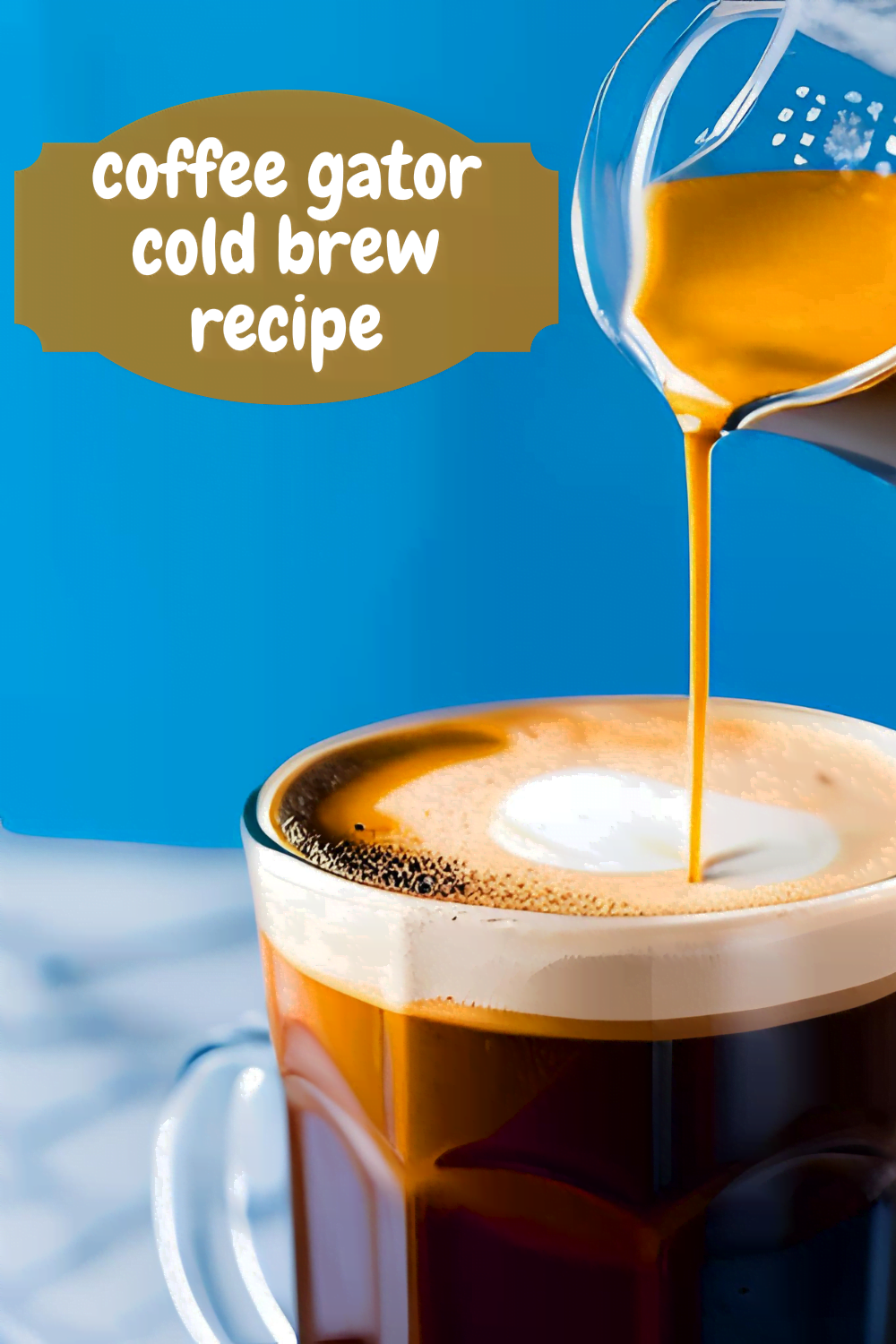 Coffee gator cold brew recipe : Refreshingly Bold
